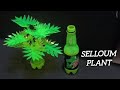 Selloum plant diy plastic bottle craft ideas best out of waste #diy #craft #craftideas #flower