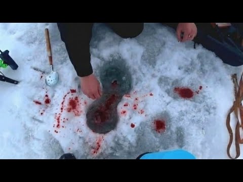 Я ВСЕ ТАКИ НАШЕЛ ЕГО🥵  САМАЯ ВКУСНАЯ РЫБА рыбалка зимой видео