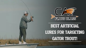 Best Artificial Lures For Targeting Gator Trout | Flats Class YouTube