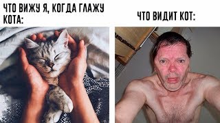 САМЫЕ УПОРОТЫЕ МЕМЫ ПРО ШКОЛУ - ЧТО ВИДИТ КОТ