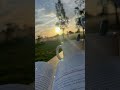 💕#islamic #allah #blessings #foryou #youtubeshorts #shorts #love #forever #beauty #beautiful #sunset