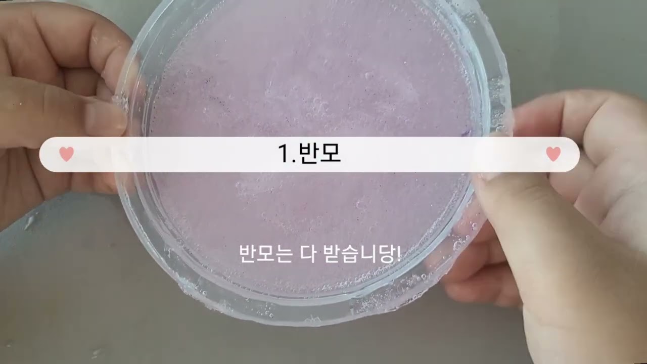 곰곰이애 채널규칙
