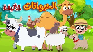 أنشودة الحيوانات الأليفة  للأطفال عربي - انجليزي   | قناة طم طم
