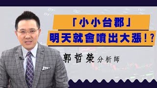 2019.11.07 郭哲榮分析師【「小小台郡」 明天就會噴出大漲!】(無廣告。有字幕版)