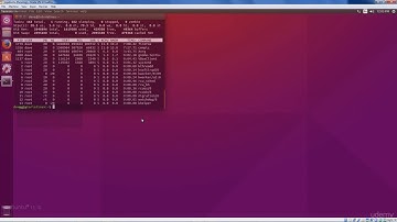 Provisioning and Connecting to Your First Remote Linux Server