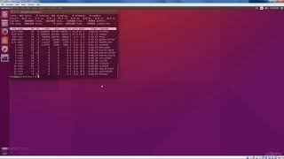 Provisioning and Connecting to Your First Remote Linux Server