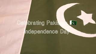 Making Pakistani Flag at home || Pakistan Independence Day screenshot 1