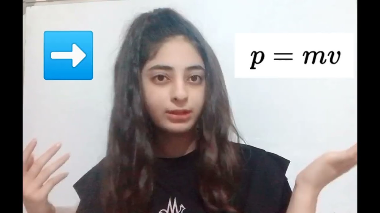Heisenberg's Uncertainty Principle | Siba Moussawi | Break Through Junior Challenge 2023