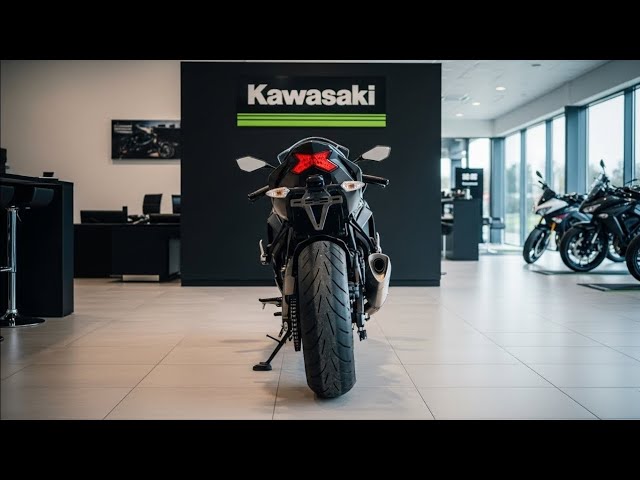 R( ¨̮ ) Kawasaki ZX-6R 2019+ – Pit Lane Moto