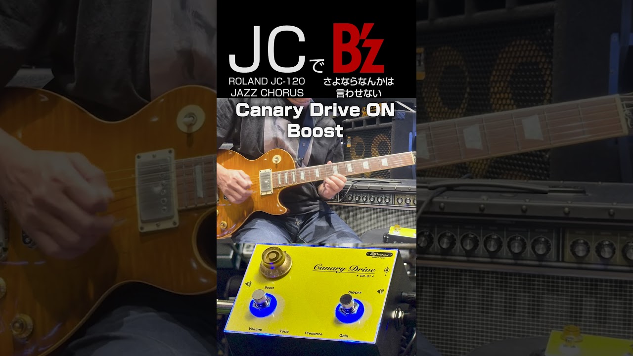 A B'z fan who only played D arpeggios during his demo [ROLAND JC