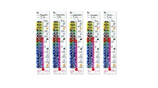 Magnetic Thermometer Recording Charts