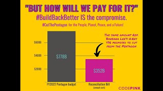 Famous Build back better & cut the Pentagon! Net Worth