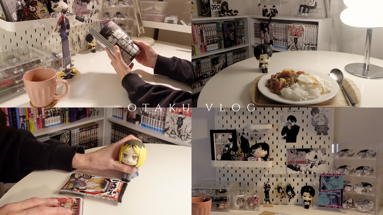 🌙 夜のオタク時間。｜推しのるかっぷと、漫画の新刊と、ガパオライス｜ Vlog