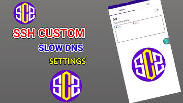 How to set up SSH CUSTOM VPN app tutorial guide