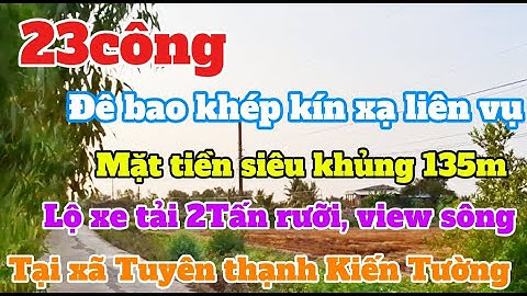 Chào bán 23công đất lúa Tại xã Tuyên thạnh kiến tường Long An Giá chỉ 135triệu(1000m)#bdslongan