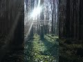 Magic of Spring