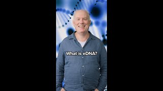 What is eDNA?