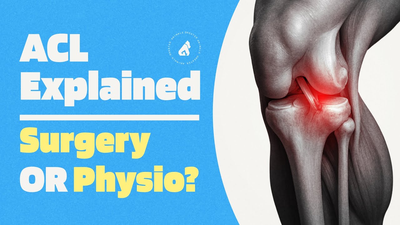 ACL Tear Explained: Surgery vs Physiotherapy