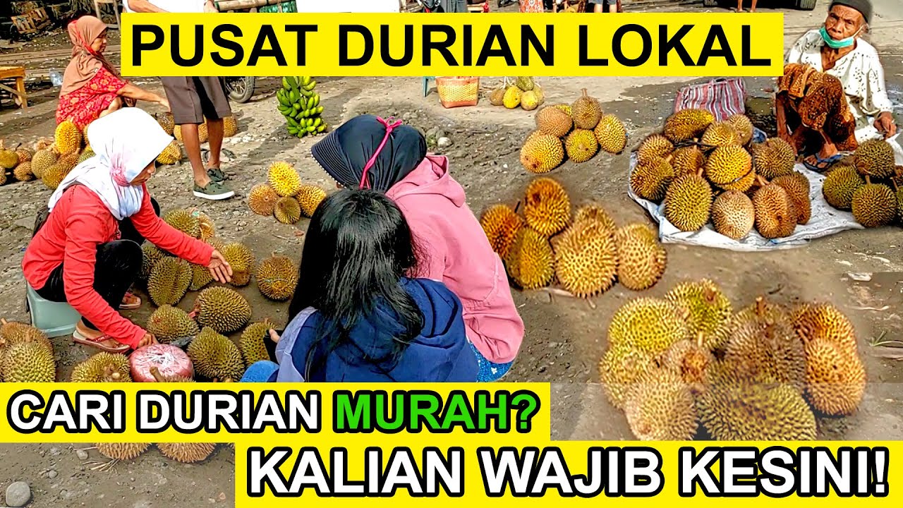 PASAR INI MENJADI SANGAT RAMAI SAAT MUSIM DURIAN TIBA