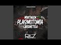 Montagem Plasmotomia Cibernética