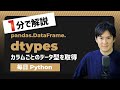 【毎日Python】Pythonでカラムごとのデータ型を取得する方法|dtypes