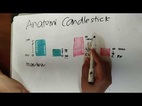 Belajar Anatomi Camdlestick Part 1 : The Body