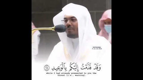 القارئ ياسر الدوسري | ارح سمعك.. تلاوة هادئة تريح القلب والعقل💙🎧