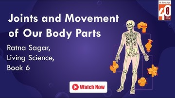 Joints and Movement of Our Body Parts Class 6 Science - Ratna Sagar Living Science Book 6