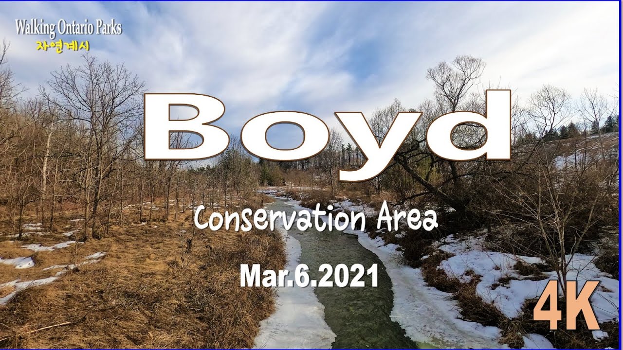 [4K] Boyd Conservation Park, Vaughan, #5, 2021.03.06 - YouTube