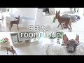 【ルームツアー】子鹿犬が暮らす真っ白でシンプルなお部屋紹介【ミニピン／元保護犬】