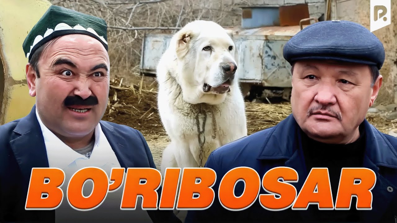 Qalpoq - Bo'ribosar (hajviy ko'rsatuv)