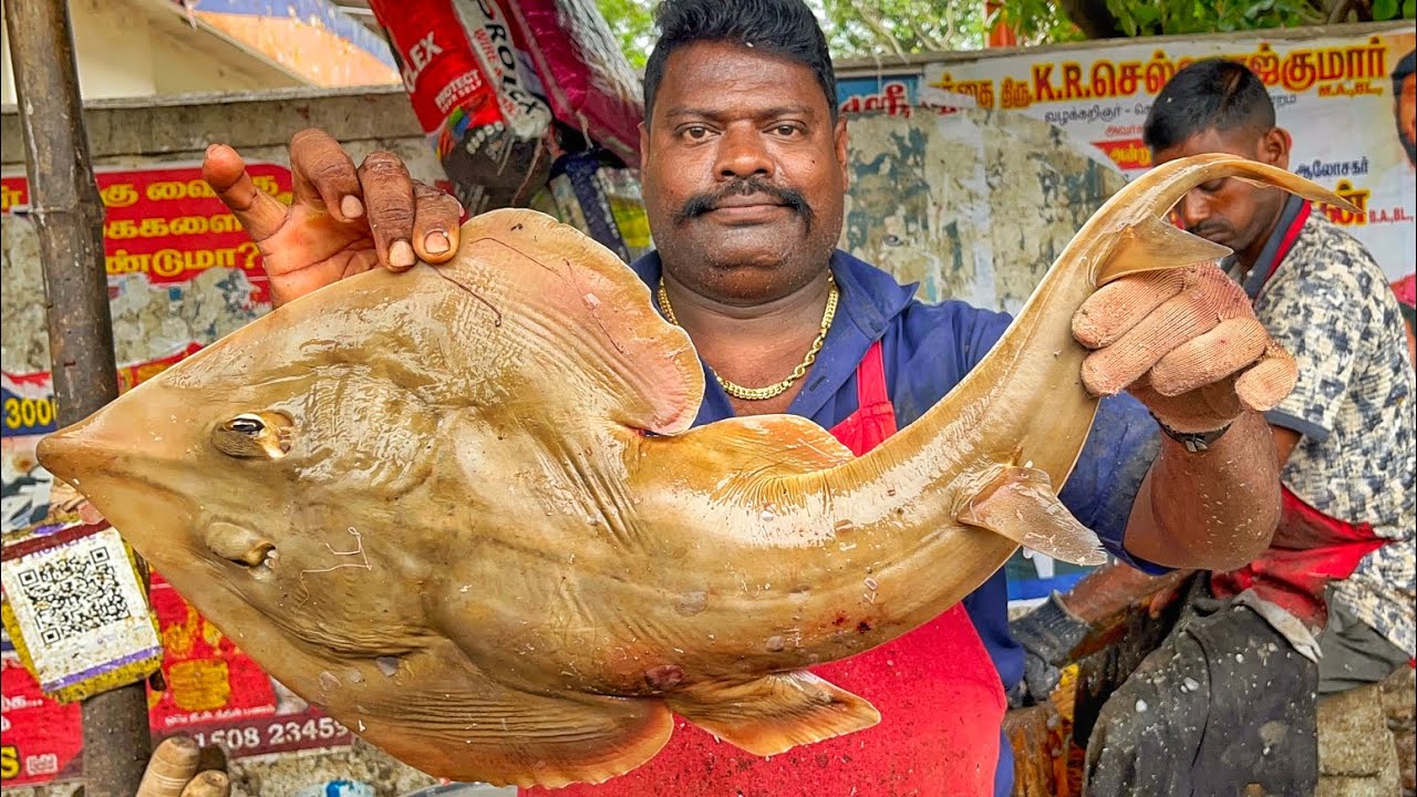 KASIMEDU 🔥 SPEED SELVAM | RARE DRAGON 🐉 FISH CUTTING VIDEO | 4K VIDEO | KM FISH CUTTING 