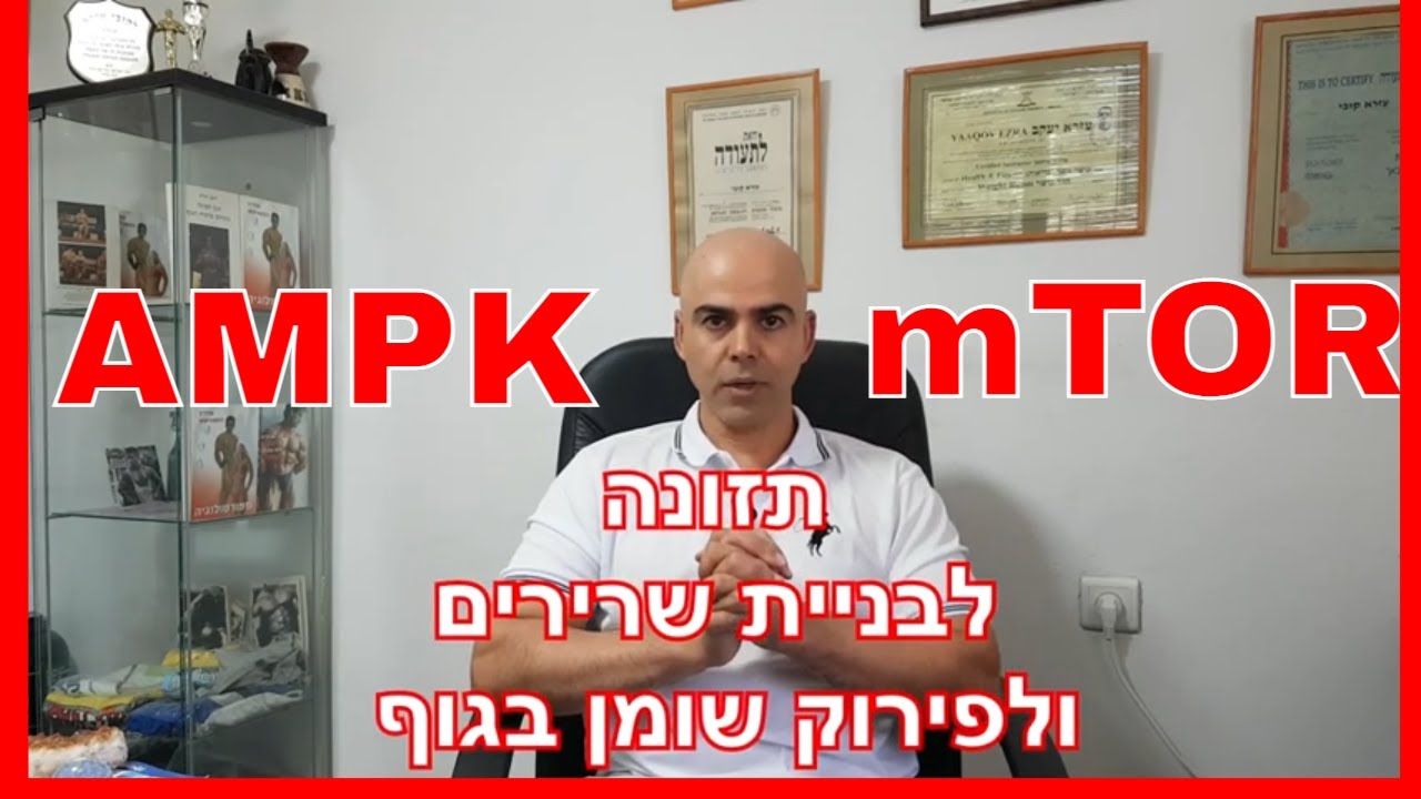 תזונה לבניית שרירים, הורדת אחוזי שומן בגוף, קובי עזרא, בניית שריר ושריפת שומן, בניית שריר בדיאטה