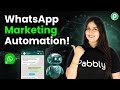 WhatsApp Broadcast Automation for Business