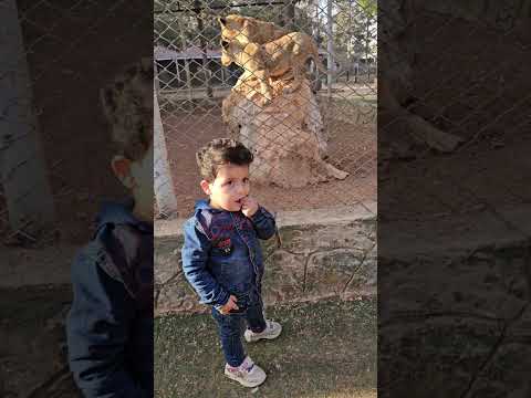 ورد خاف براء وسميرة 