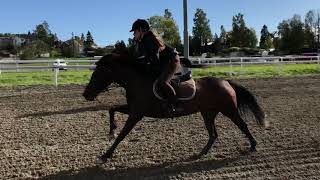 Sheila og Stacy // Galopp trening 22 September 2018