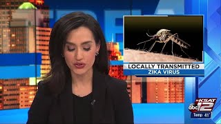 Video: Additional Zika cases found in Cameron County