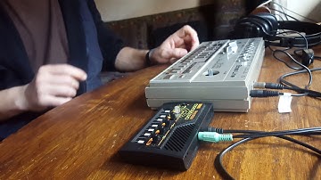 Roland TB-303 + Korg Monotron - short test