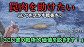 Mh W 重要バウンティ 調査協力 幻の鳥の捕獲 Youtube
