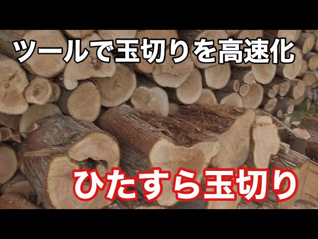 薪づくり]玉切りを高速化する道具を使ってひたすら玉切り。 - YouTube