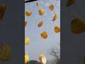 DIY With Sea Shells 🏝️/Wind chimes 😍 #diy #trending #shorts