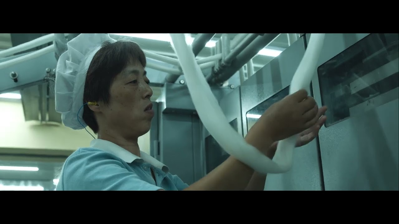 Partenariat Décathlon et Segard Masurel Abelusi Wool