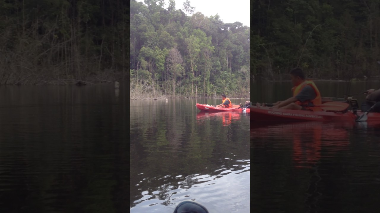 Kuching Kayak Fishing at Bengoh Dam Kuching, Sarawak - YouTube