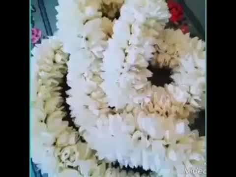 أبو جاد لي بيع جميع أنواع الفل 0506808516 جدة الهنداويه سوق اليمنة 1