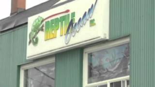 Escaped snake kills two boys in Canada