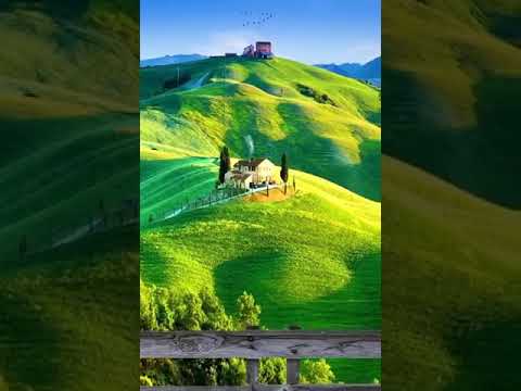 monorome poribes