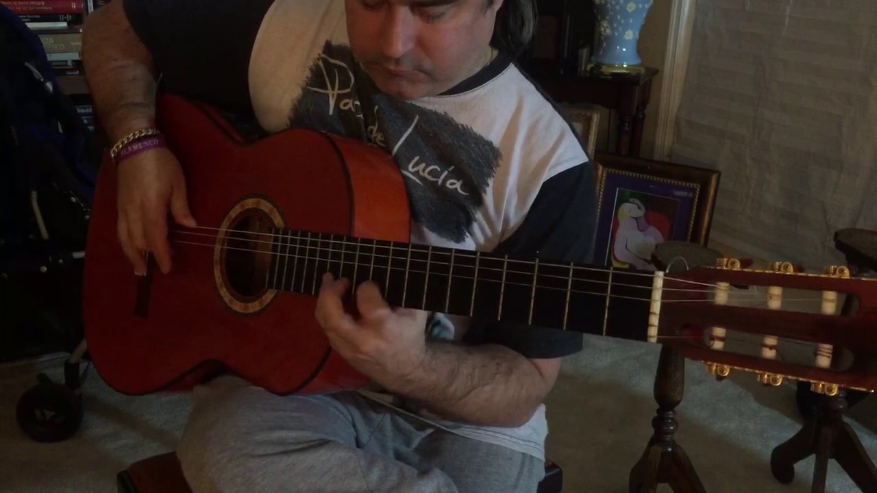 David (john mclaughlin)