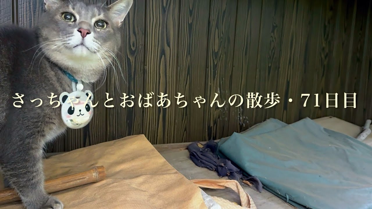 あっちゃん やっほーみなさんこんにちは サニーサイドチャンネルのママでーーーす