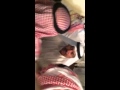 دحة شباب العوجان من الظفير