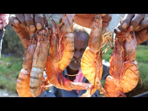 PRAWN BIRIYANI Prepared by my daddy in my village / Village food factory